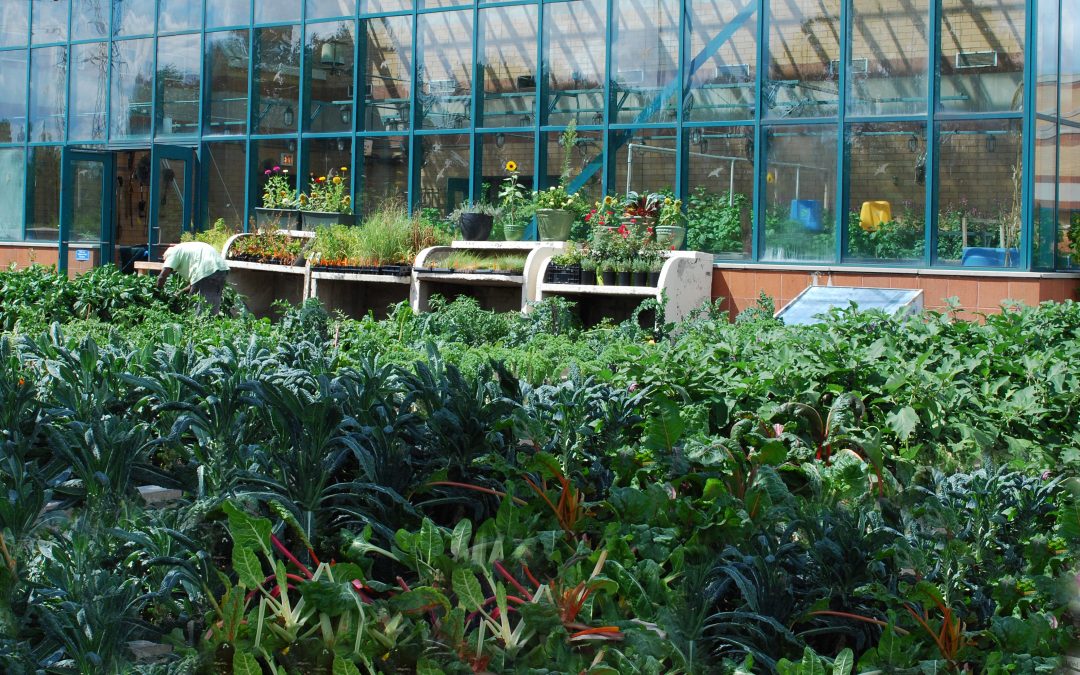 Classroom Greenhouses: Core Curriculum Cultivated