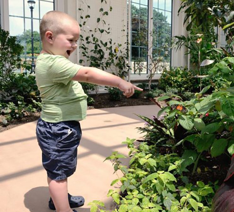 7 Reasons to incorporate daylighting
