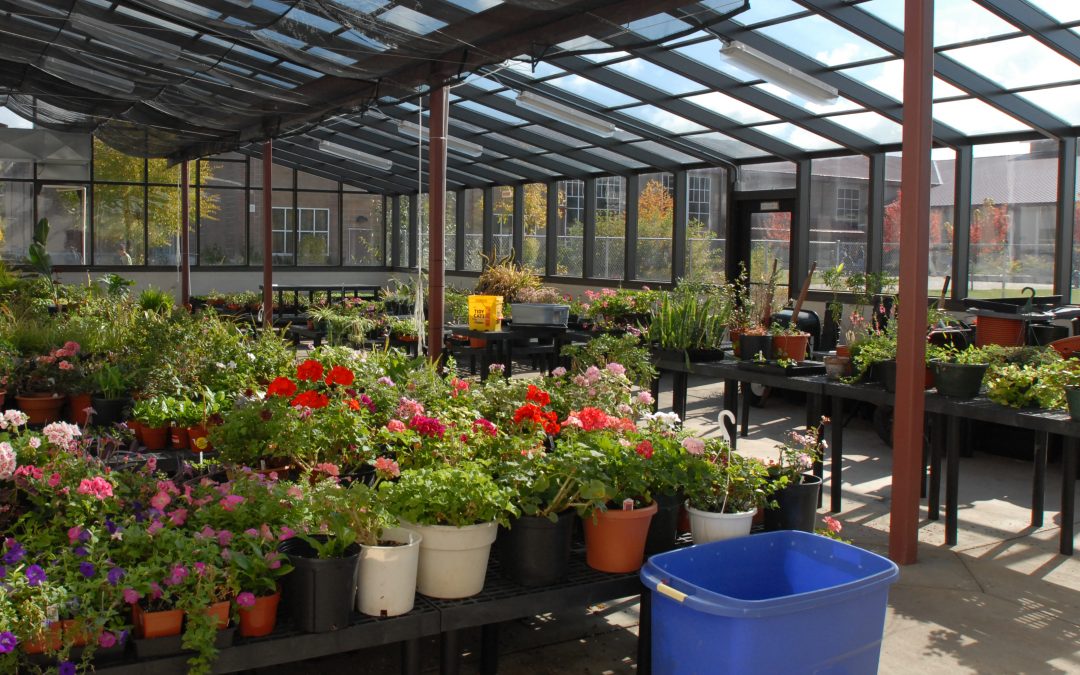 Taking the guesswork out of growing