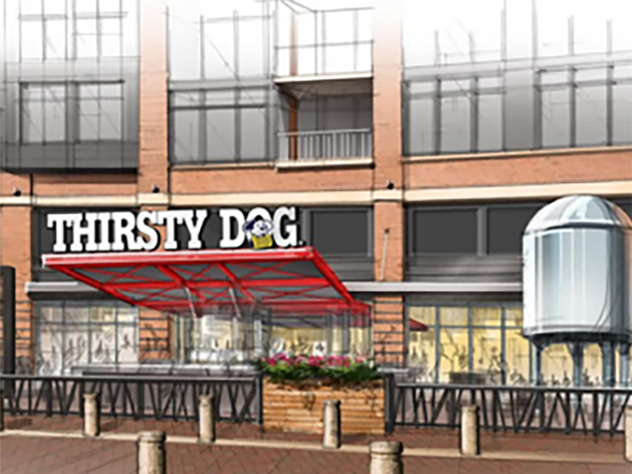 Thirsty Dog: Updated