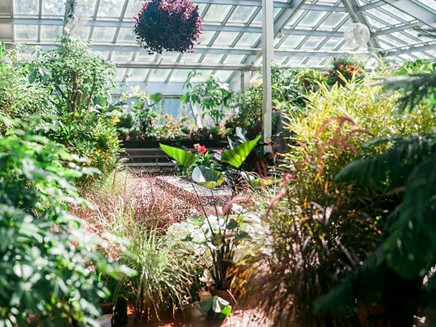 Dow Gardens
