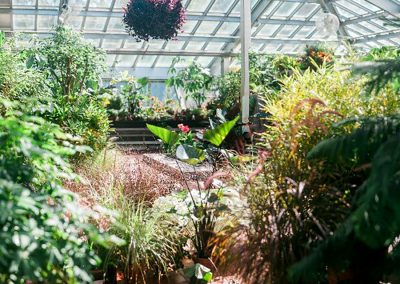 Dow Gardens